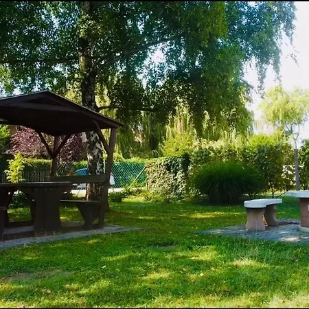 Vizparti Eden * Zamárdi